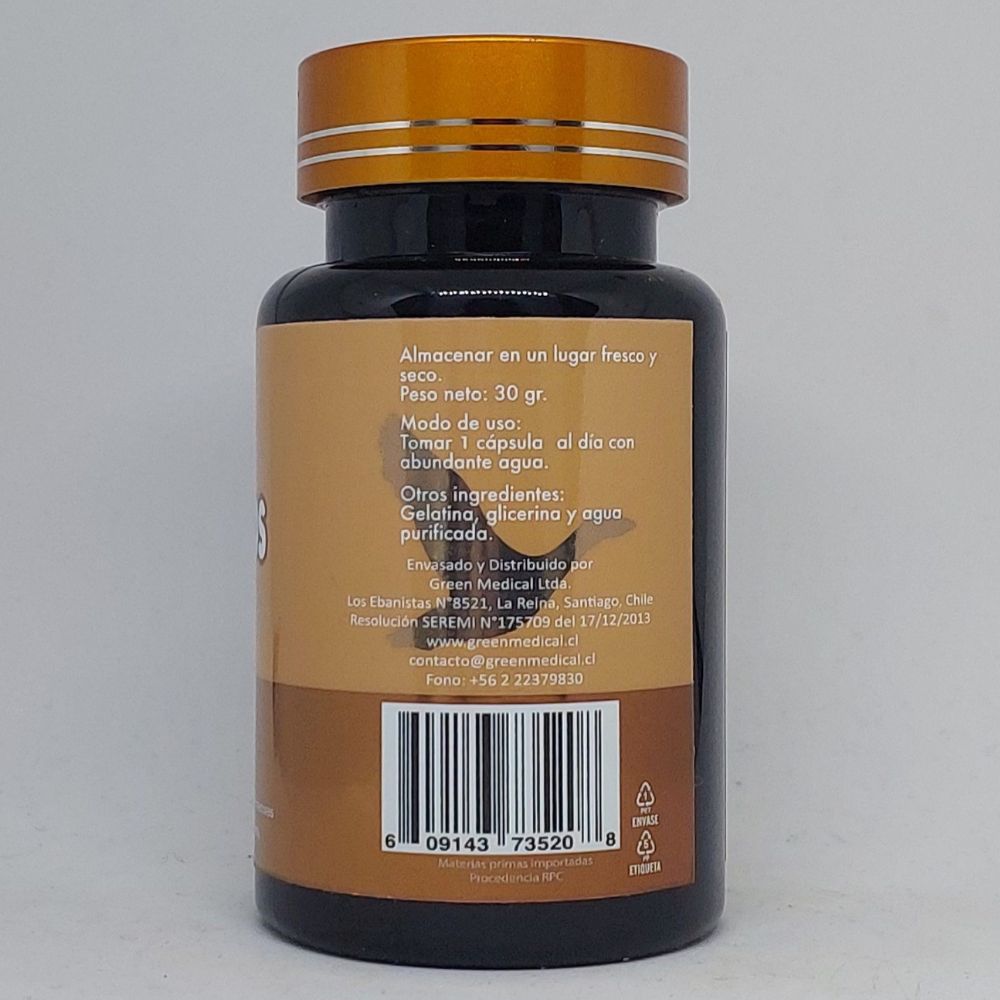 Cordyceps modo de uso