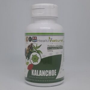 Kalanchoe 500 Mg 60 Cápsulas