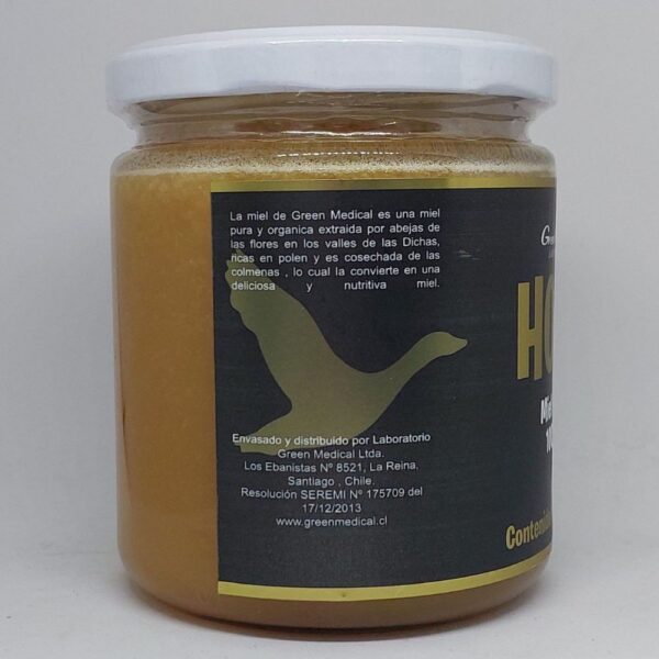 Miel de Abeja Pura información 600g