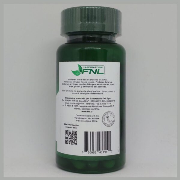 Moringa información